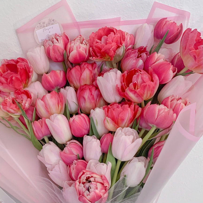 Pink tulips deals
